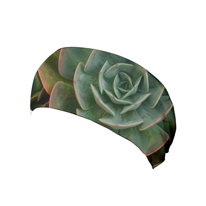 Green Orchid Plant Pattern Yoga Headband