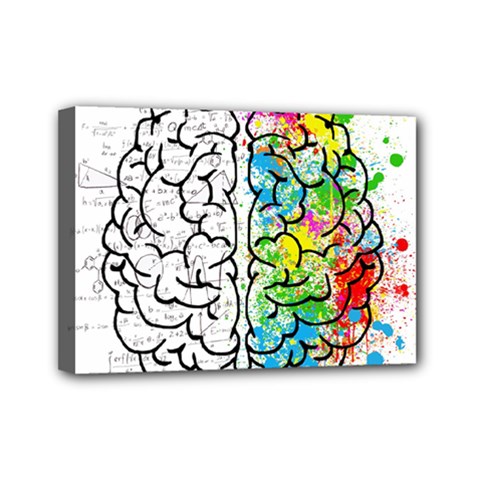 Illustration Brain Mind Psychology Idea Drawing Mini Canvas 7  X 5  (stretched) by Ravend