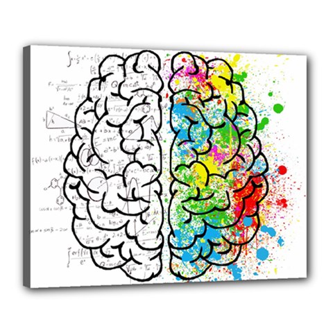 Illustration Brain Mind Psychology Idea Drawing Canvas 20  X 16  (stretched) by Ravend