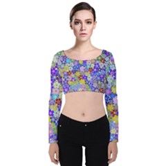 Illustration Background Flower Pattern Floral Velvet Long Sleeve Crop Top by danenraven