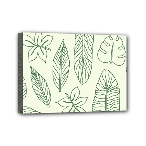 Banana Leaves Draw  Mini Canvas 7  X 5  (stretched) by ConteMonfrey