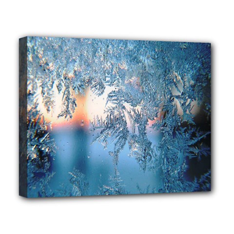 Frost Winter Morning Snow Deluxe Canvas 20  X 16  (stretched) by artworkshop