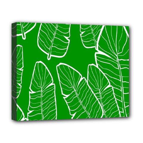 Green Banana Leaves Deluxe Canvas 20  X 16  (stretched) by ConteMonfrey