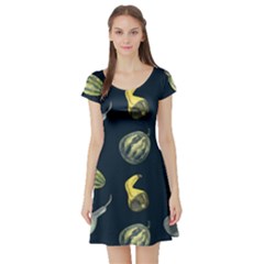 Vintage Vegetables Zucchini  Short Sleeve Skater Dress by ConteMonfrey