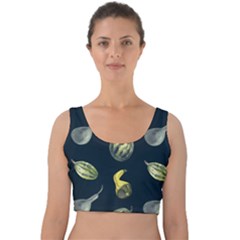 Vintage Vegetables Zucchini  Velvet Crop Top by ConteMonfrey