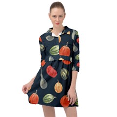 Vintage Vegetables  Mini Skater Shirt Dress by ConteMonfrey