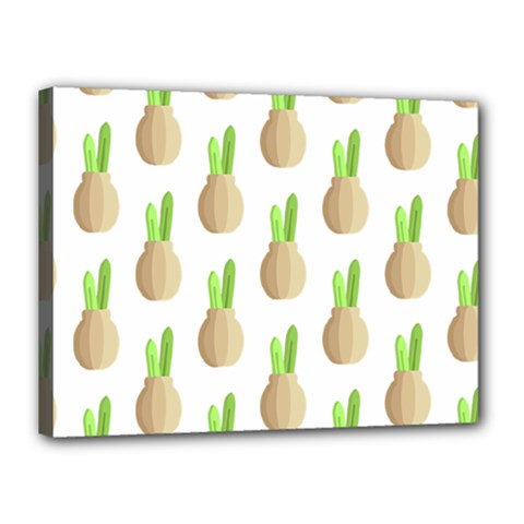 Succulent Vases  Canvas 16  X 12  (stretched) by ConteMonfrey