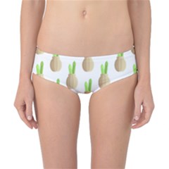 Succulent Vases  Classic Bikini Bottoms by ConteMonfrey