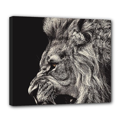 Angry Male Lion Deluxe Canvas 24  X 20  (stretched)