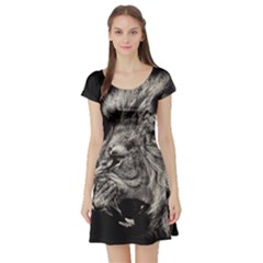 Angry Male Lion Short Sleeve Skater Dress by Jancukart