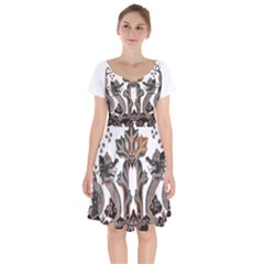 IM Fourth Dimension Colour 70 Short Sleeve Bardot Dress