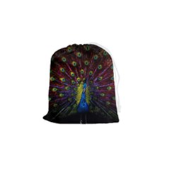 Beautiful Peacock Feather Drawstring Pouch (small)