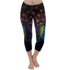 Beautiful Peacock Feather Capri Winter Leggings 