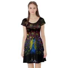 Beautiful Peacock Feather Short Sleeve Skater Dress