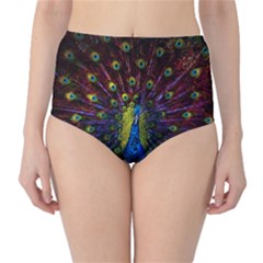 Beautiful Peacock Feather Classic High-waist Bikini Bottoms