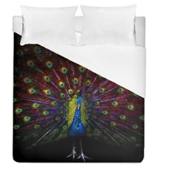 Beautiful Peacock Feather Duvet Cover (queen Size)