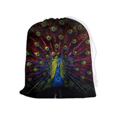 Beautiful Peacock Feather Drawstring Pouch (xl)