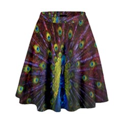 Beautiful Peacock Feather High Waist Skirt