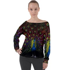 Beautiful Peacock Feather Off Shoulder Long Sleeve Velour Top