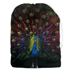 Beautiful Peacock Feather Drawstring Pouch (3xl) by Jancukart