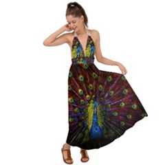 Beautiful Peacock Feather Backless Maxi Beach Dress