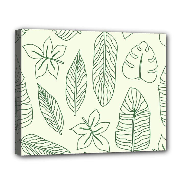 Banana Leaves Draw   Deluxe Canvas 20  x 16  (Stretched)