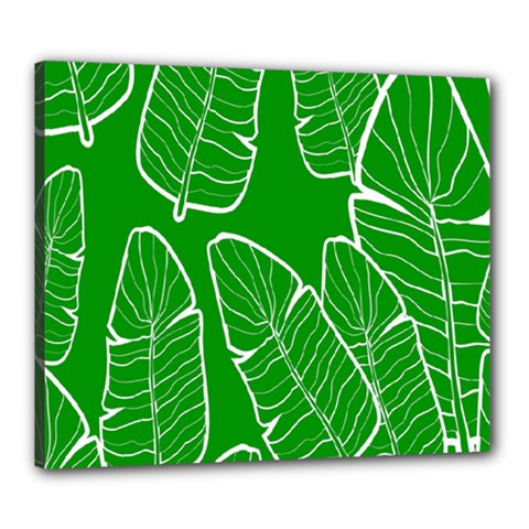 Green Banana Leaves Canvas 24  X 20  (stretched) by ConteMonfreyShop