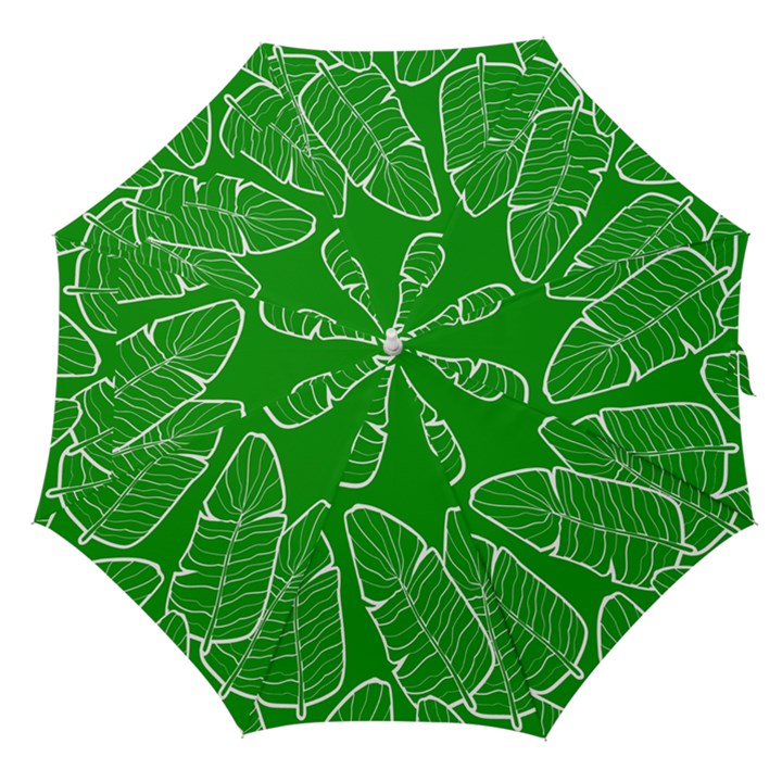 Green Banana Leaves Straight Umbrella