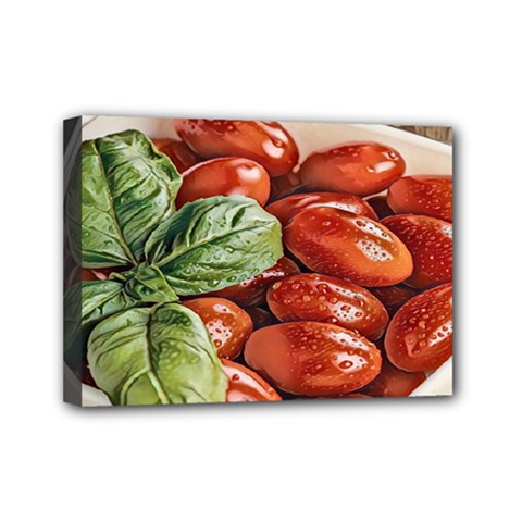 Fresh Tomatoes - Italian Cuisine Mini Canvas 7  X 5  (stretched) by ConteMonfrey