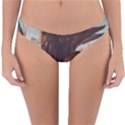 Lion of Venice, Italy Reversible Hipster Bikini Bottoms View1