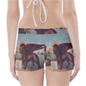 Lion of Venice, Italy Boyleg Bikini Wrap Bottoms View2