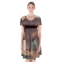 Lion Of Venice, Italy Short Sleeve V-neck Flare Dress by ConteMonfrey