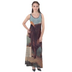 Lion Of Venice, Italy Sleeveless Velour Maxi Dress by ConteMonfrey