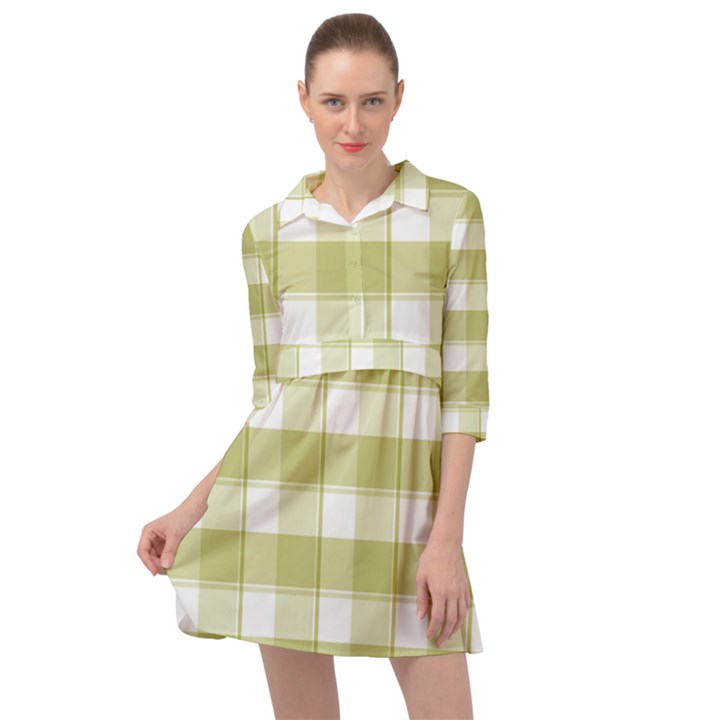 Green tea plaids - Green white Mini Skater Shirt Dress