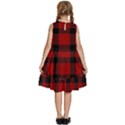 Red and black Plaids Kids  Frill Swing Dress View4