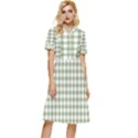 Green Tea White Small Plaids Button Top Knee Length Dress View1