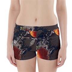 Fresh Water Tomatoes Boyleg Bikini Wrap Bottoms by ConteMonfrey