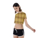 Plaid Tie Back Short Sleeve Crop Tee View2