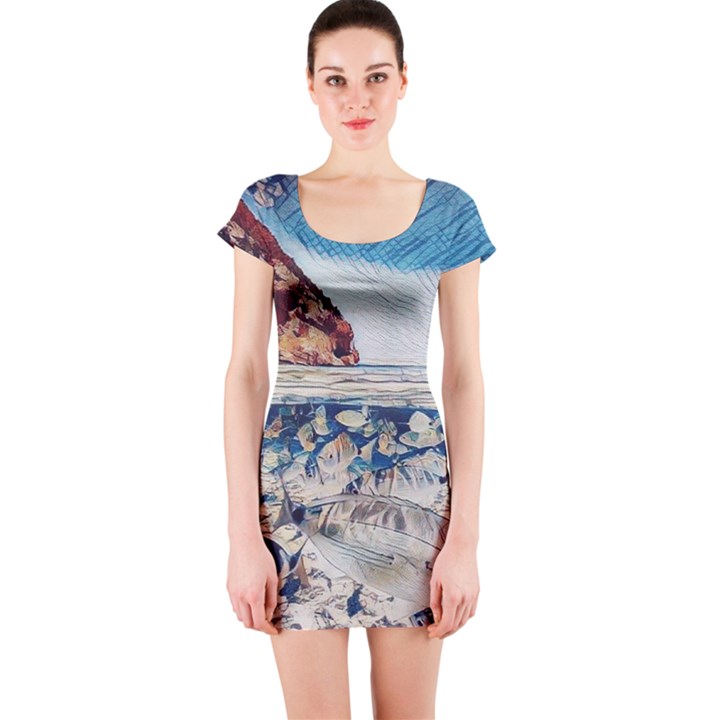 Fishes In Lake Garda Short Sleeve Bodycon Dress