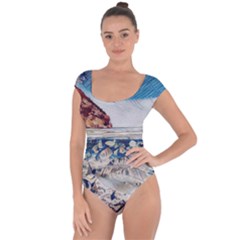 Fishes In Lake Garda Short Sleeve Leotard  by ConteMonfrey