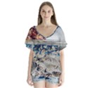 Fishes In Lake Garda V-Neck Flutter Sleeve Top View1