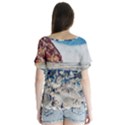 Fishes In Lake Garda V-Neck Flutter Sleeve Top View2