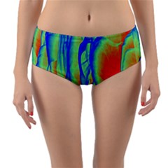 Pattern Design Decorative Art Reversible Mid-waist Bikini Bottoms by Ravend