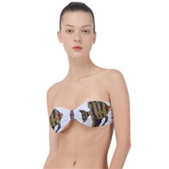 IM Fourth Dimension Colour 75 Classic Bandeau Bikini Top 