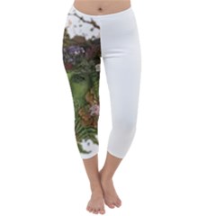 Im Fourth Dimension Colour 84 Capri Winter Leggings 