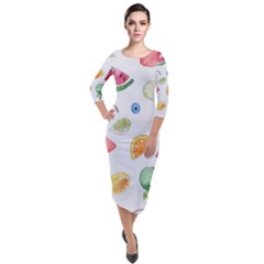 Fruit Summer Vitamin Watercolor Quarter Sleeve Midi Velour Bodycon Dress