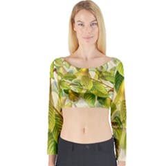 Pear Fruit Tree Organic Pattern Long Sleeve Crop Top by Wegoenart