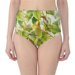 Pear Fruit Tree Organic Pattern Classic High-waist Bikini Bottoms by Wegoenart