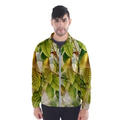 Pear Fruit Tree Organic Pattern Men s Windbreaker by Wegoenart