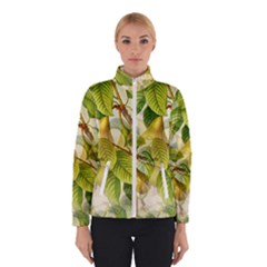 Pear Fruit Tree Organic Pattern Women s Bomber Jacket by Wegoenart